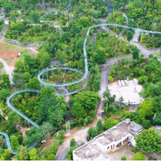 太乙仙山植物园——北纬31°野生苗木活体基因库