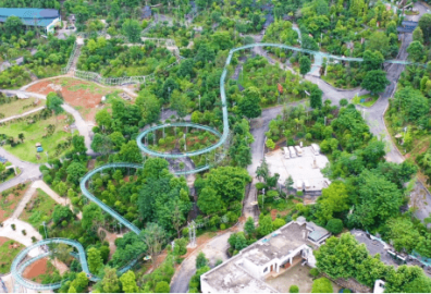 太乙仙山植物园——北纬31°野生苗木活体基因库