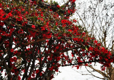 芙蓉溪旅游攻略